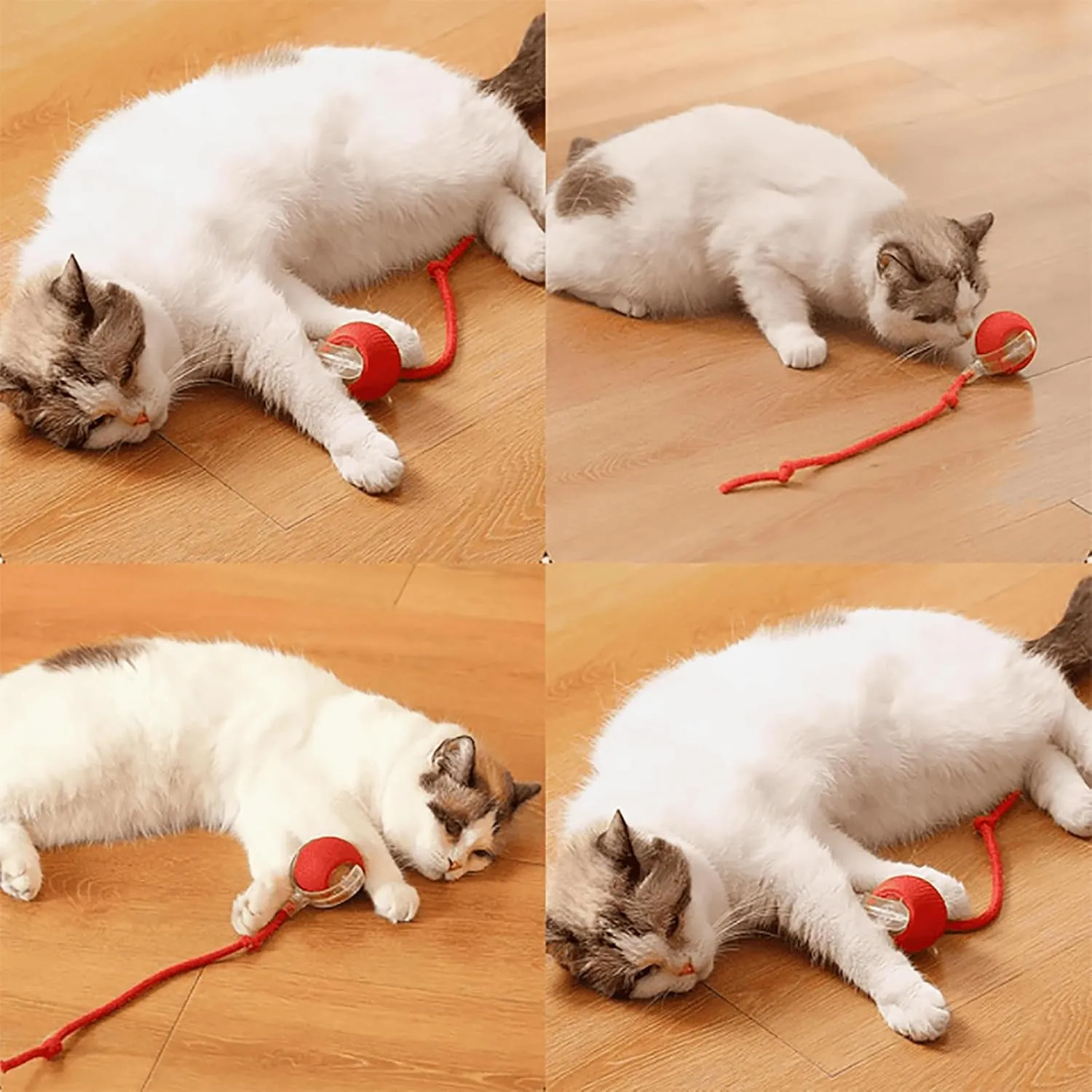 Ascoly Pet Ball, Ascoly Cat Toy, Smart Interactive Electric 360 Automatic Rolling Ball with Teasing Tail, Rechargeable Obstacle Avoidance and Motion Activated for Bored Cats & Dogs (A-Red)