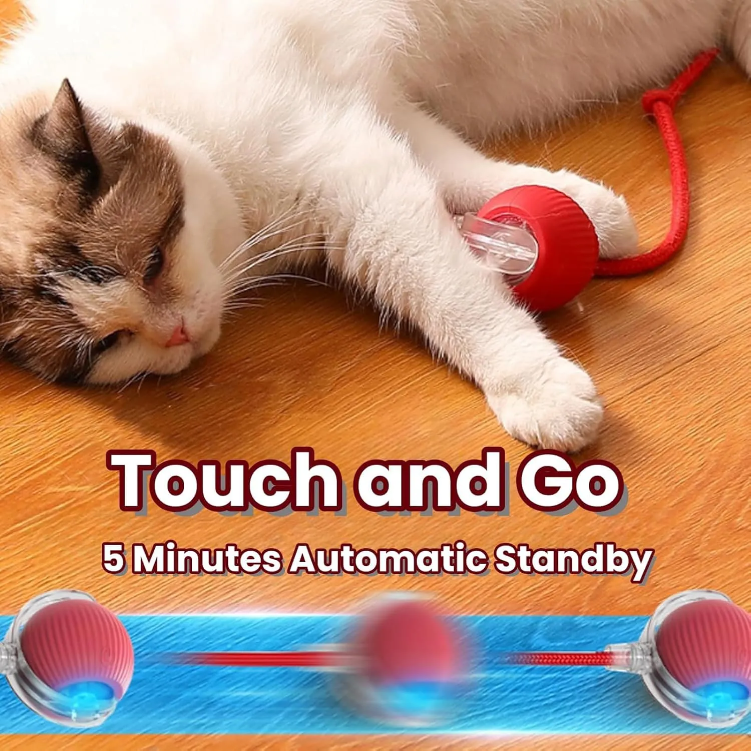 Ascoly Pet Ball, Ascoly Cat Toy, Smart Interactive Electric 360 Automatic Rolling Ball with Teasing Tail, Rechargeable Obstacle Avoidance and Motion Activated for Bored Cats & Dogs (A-Red)