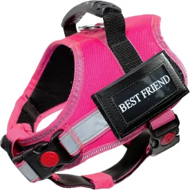 Breathable Dog Vest,Service Dog Harness,ID Tag and ADA Info Cards,ESA Accessory Set,No Pull Escape Proof,Adjustable Reflective Vest Harness for Dogs,Comfort Fit Pet Leash Set (Pink, Medium)