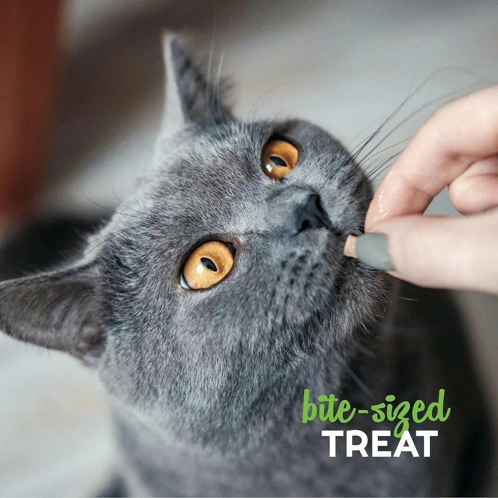 Buddy Biscuits Soft & Chey Grain Free Tender Chicken Cat Treats (3 oz)