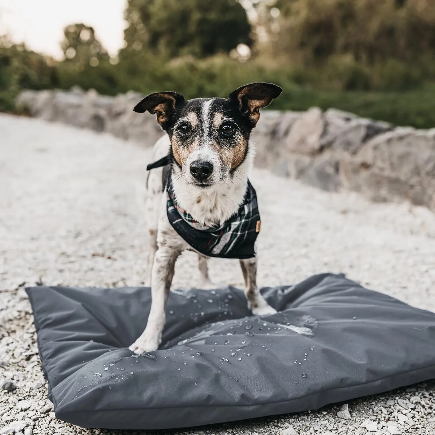 Dog Bed Cover for 44" L 32" W 4" H - 600D Oxford Waterproof with Zipper and Carry Handle - Washable, Cover Only (Gray)