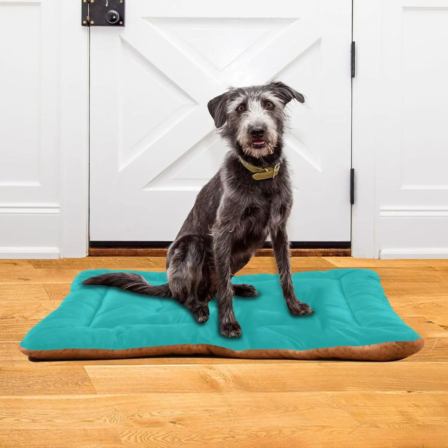 Dog Crate Bed Soft Washable Dog Mat Cat Bed with Anti-Slip Bottom Teal Colored Background Pet Sleeping Mat for Small Medium Dogs 24x36inch