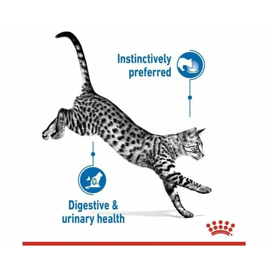 Feline Health Nutrition Indoor Jelly (Wet Food - 12X85G Pouches)