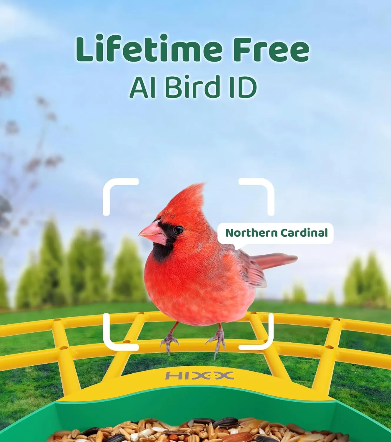 HIXX Smart Bird Feeder with Camera, Lifetime Free AI Identify Birds, Solar-Powered 2K HD Live Camera Video Birds Feeder for Outdoors with Color Night Vision for Bird Lovers Gifts (Green)