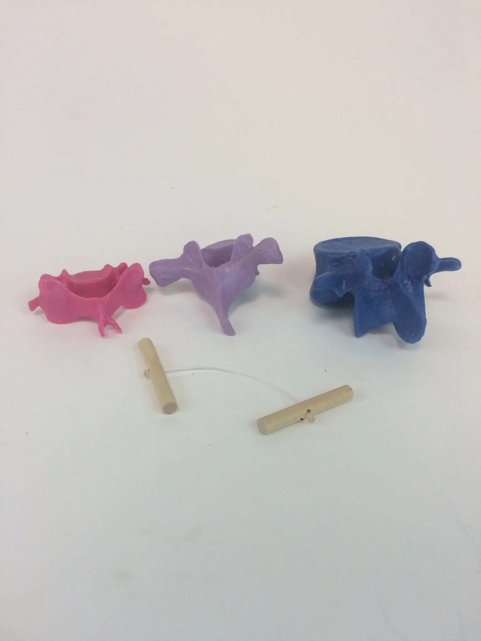 SB3 Representative Set of 3 Vertebrae strung on nylon
