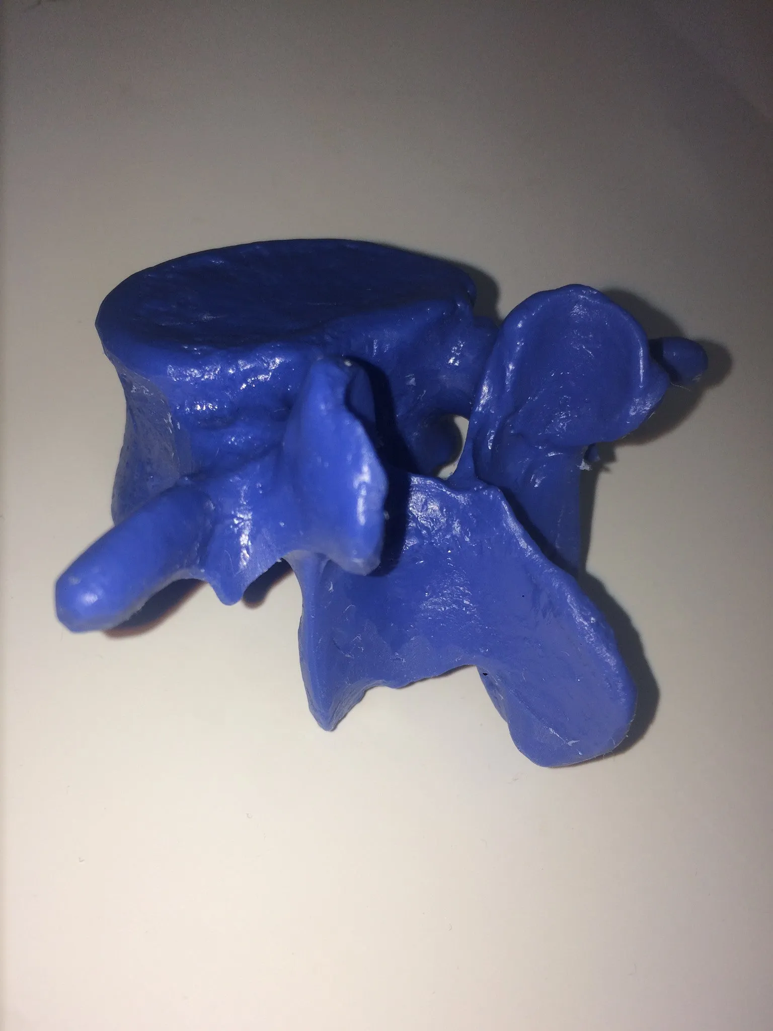 SB3 Representative Set of 3 Vertebrae strung on nylon