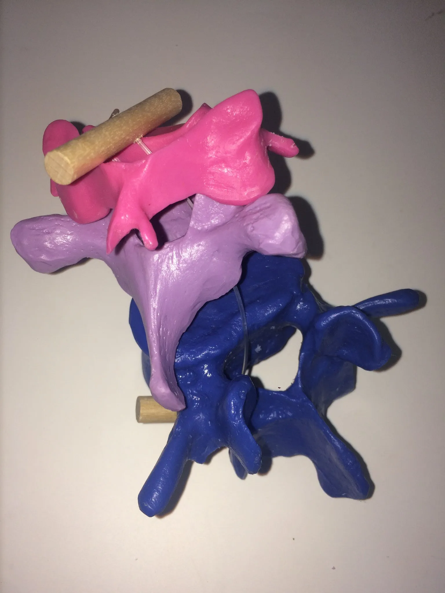 SB3 Representative Set of 3 Vertebrae strung on nylon