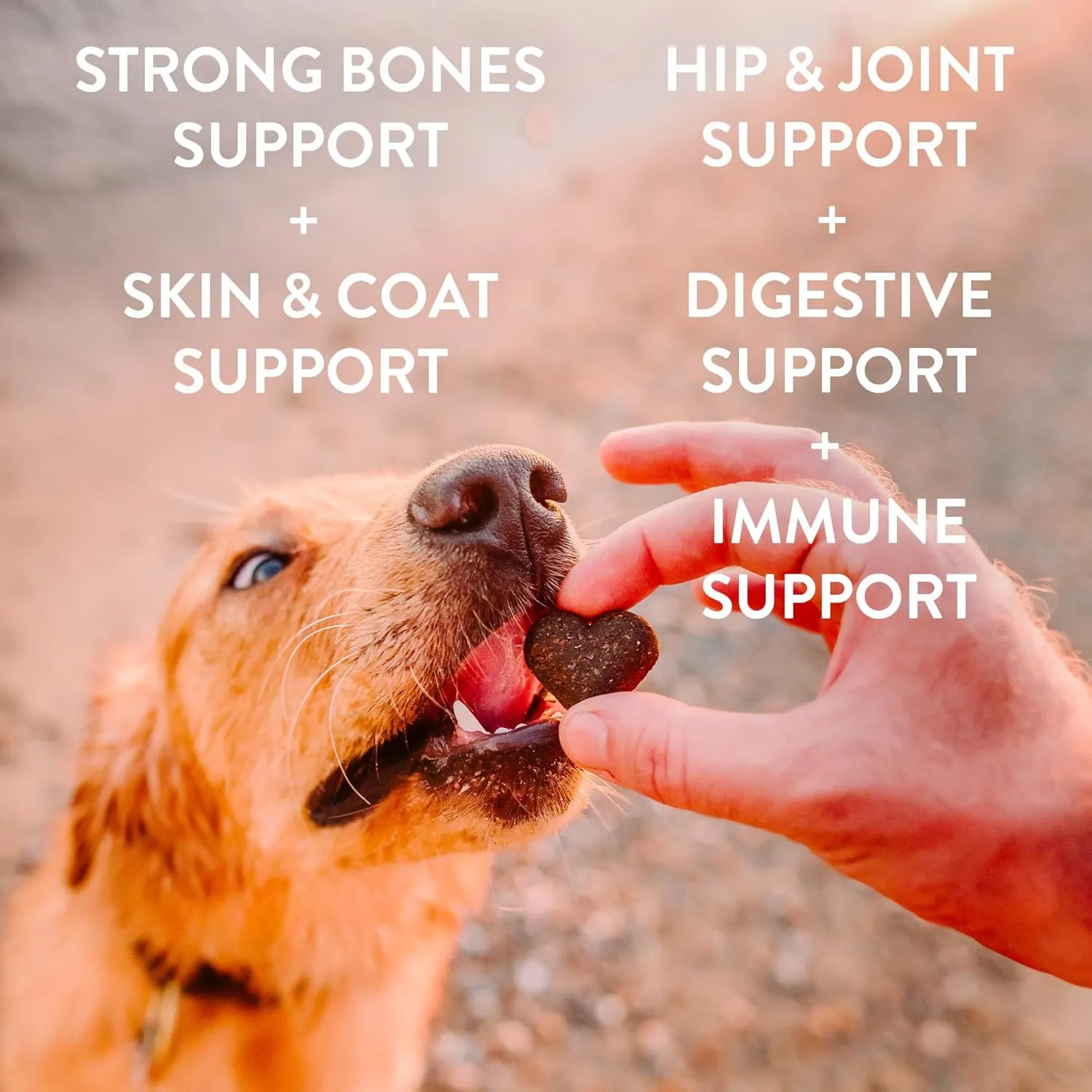 Shameless Pets Soft-Baked Dog Treats, Variety 5-Pack - Natural & Healthy Dog Chews for Small, Medium & Large Dogs - Biscuits Baked & Made in USA, Free from Grain, Corn & Soy