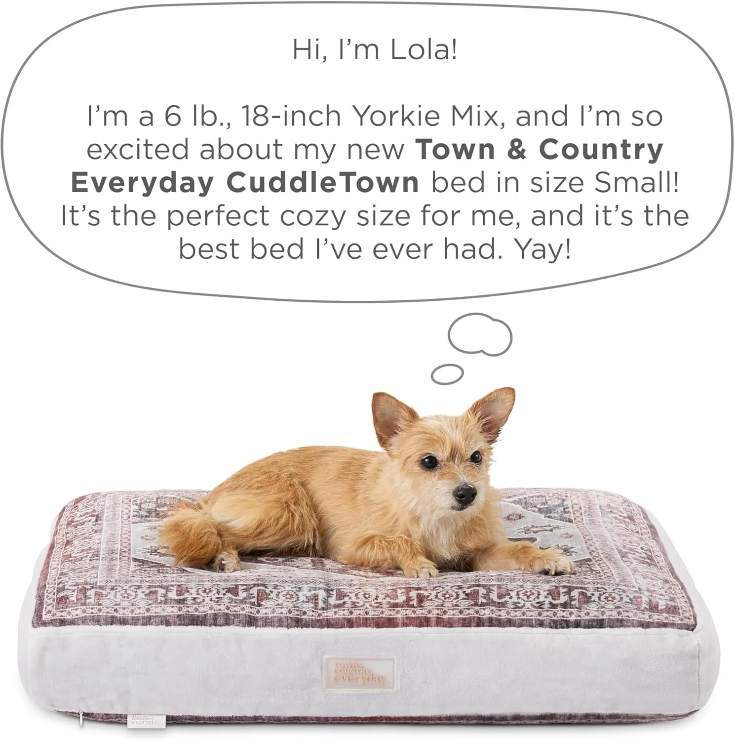 TOWN & COUNTRY EVERYDAY CuddleTown Medallion Everwash Pillow Pet Bed, Water Repellent Floor Pillow, Machine Washable Cover, Soft & Calming, Red/Greige, Small 28"x22"x4"